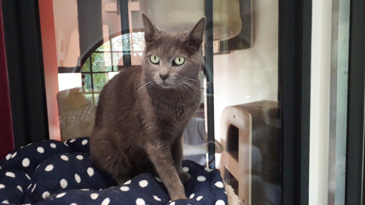 FBB / La vie de nos 3 refuges et des animaux 🏡 tweet media