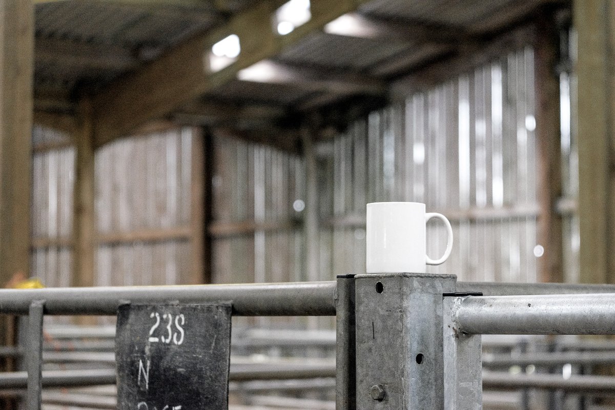 Judging over, let's head to the tea van for a bit of a warm up