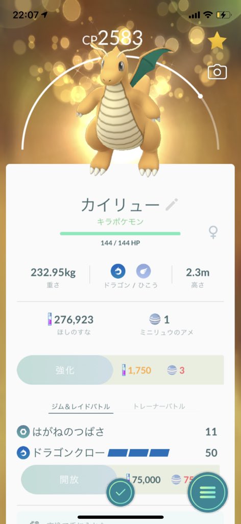 ドラゴンタイプ