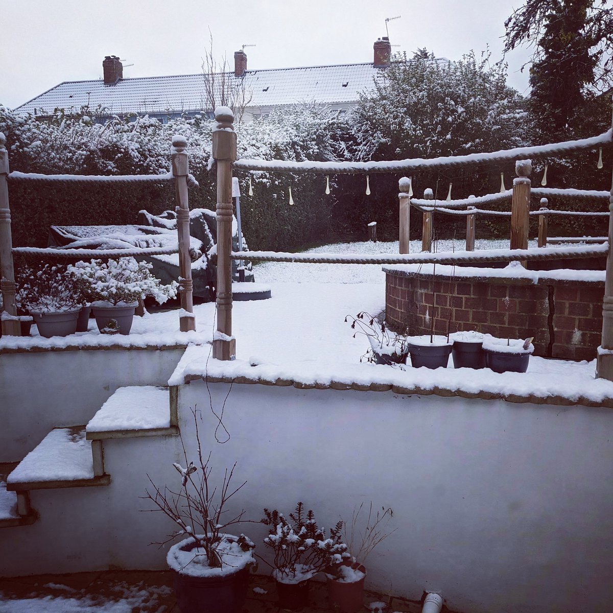 Simon Pollard @smp303@mastodonapp.uk tweet media