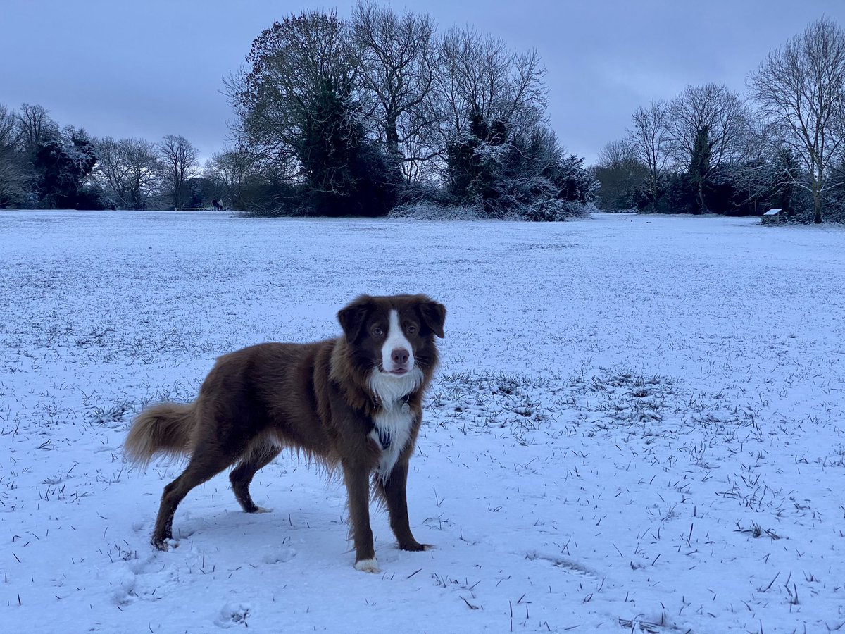 GarethRhys2's tweet photo. Snow! https://t.co/0awmnSjOGB