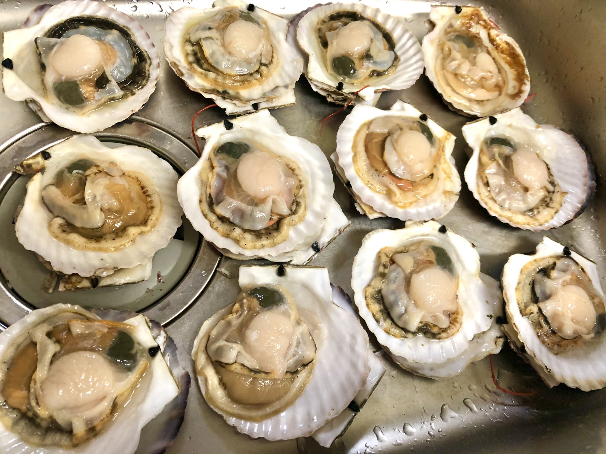 Twitter 上的 山本ともひろ Tomo Sキッチンへの挑戦状 先ず 付属のヘラで 頂いた全てのホタテ を貝殻から剥がす そして ウロと呼ばれる中腸腺 黒い部分 を取り除き 貝柱 ヒモ 生殖巣 オレンジ 白 エラに分解 ウロとエラは捨て 他の部位を塩水で洗う