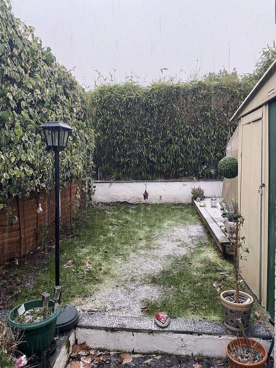 Anne Renshaw tweet media