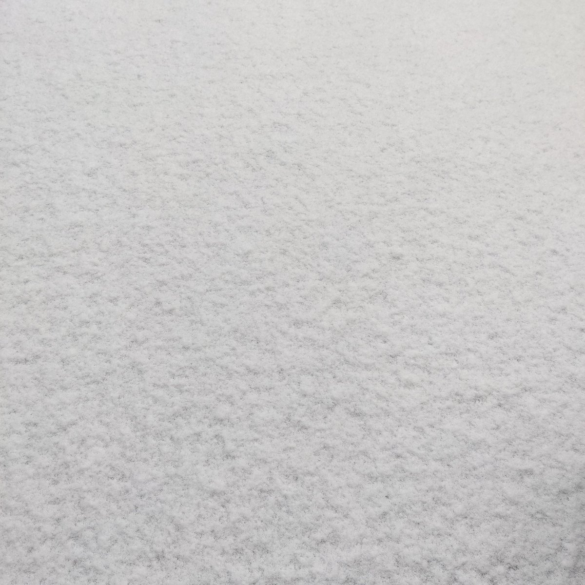 runcertain's tweet photo. #snowfilter https://t.co/3CR71IJPm4