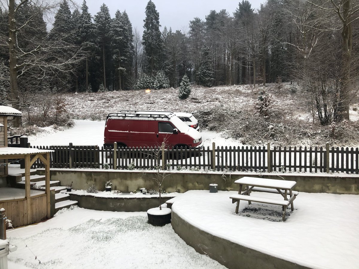 Nataley Freeman tweet media