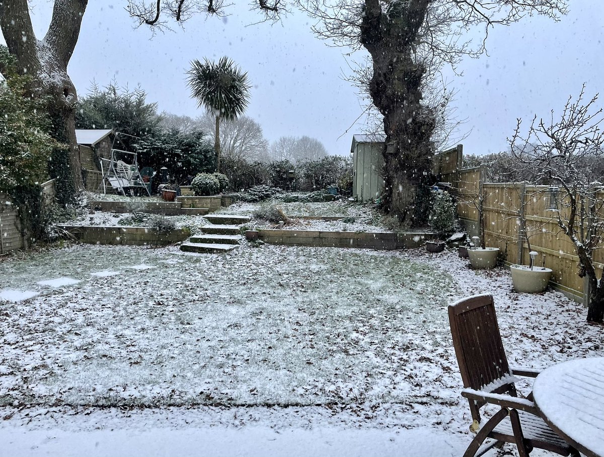 FDR Promotions tweet media