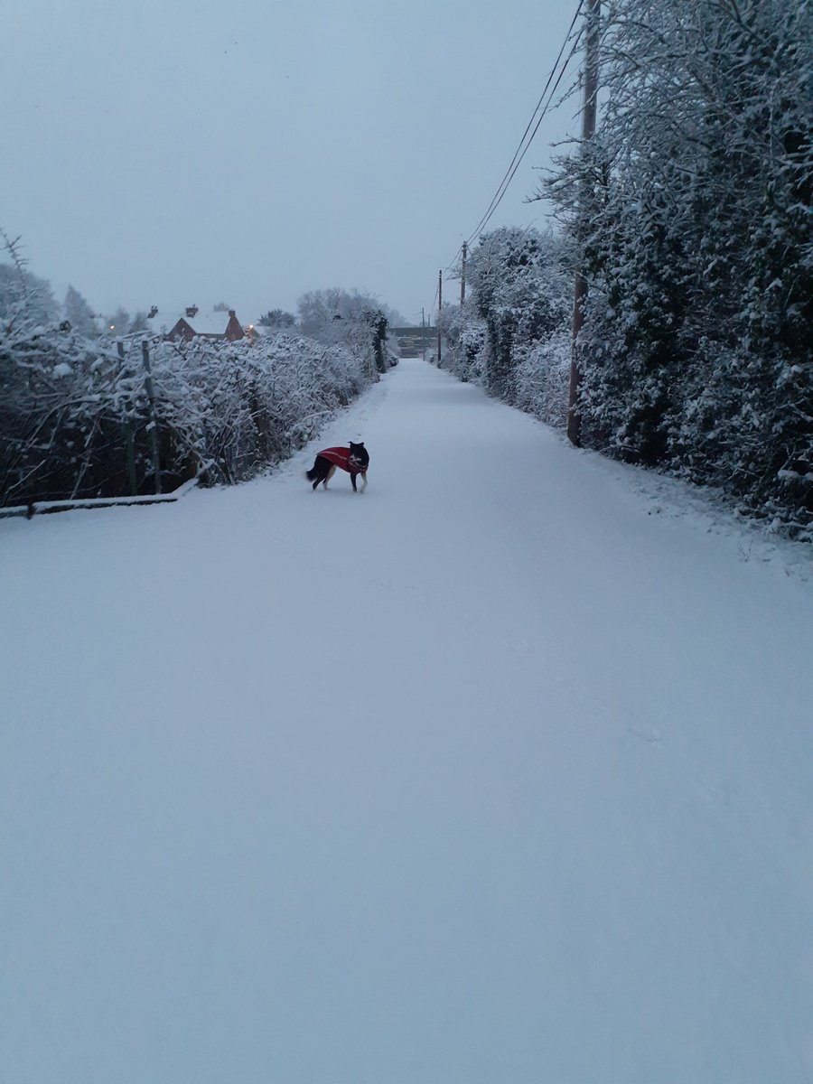 jlsmallman40's tweet photo. Fun in the snow #bathsnow https://t.co/lQ7J84DqJm