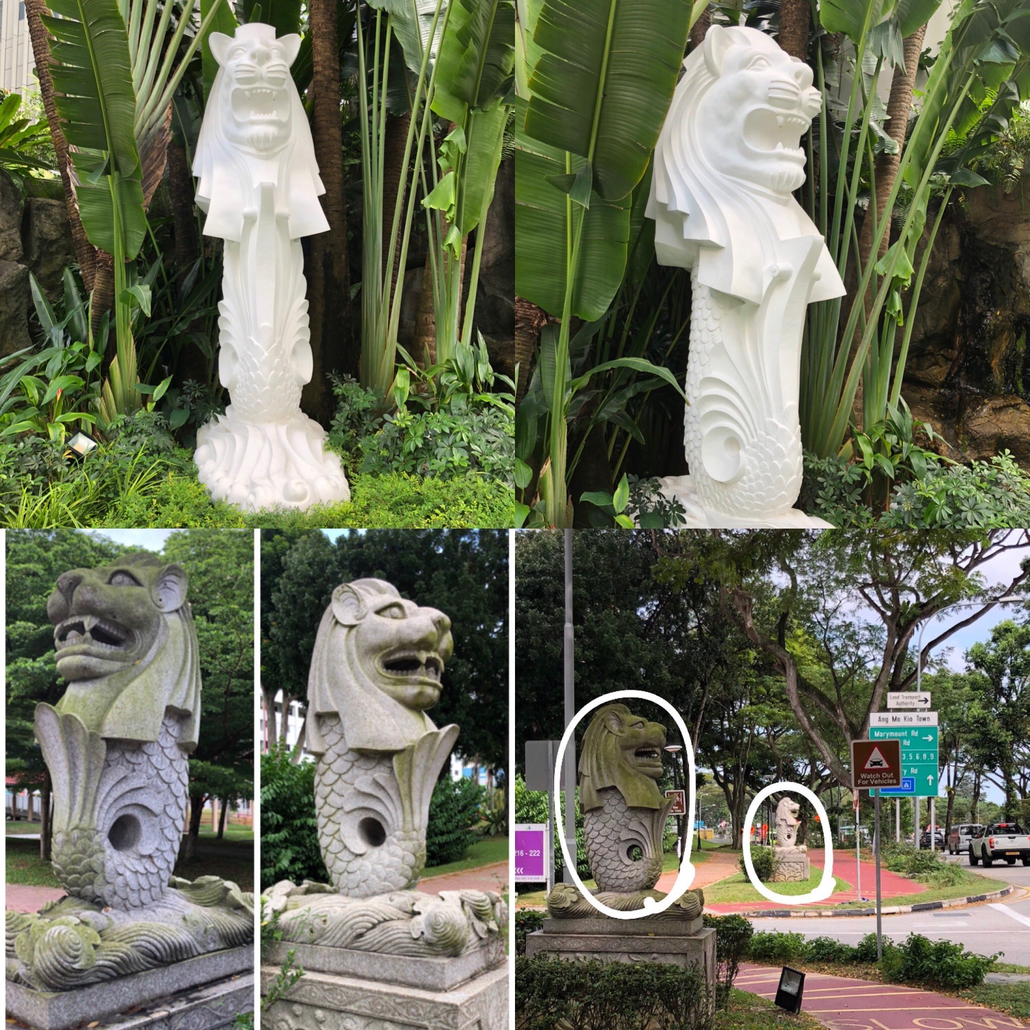 singapore_life on X: singapore_life on X: