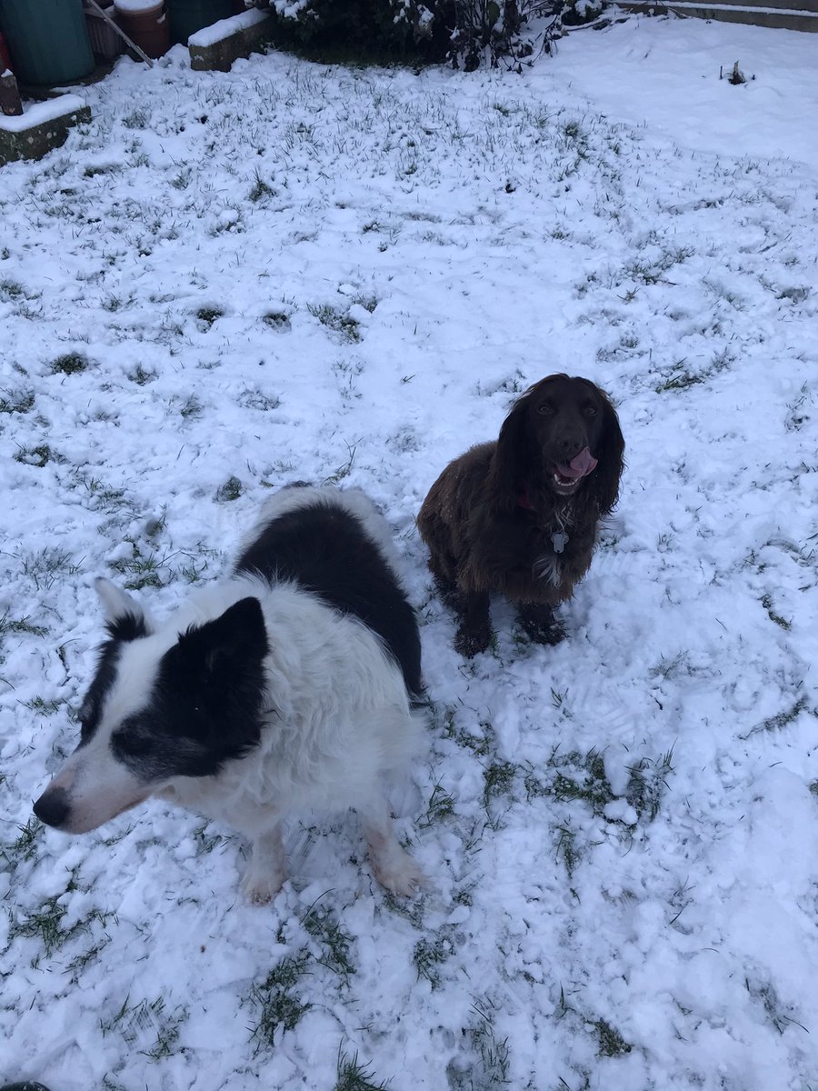 A touch of Snow in Wiltshire this morning