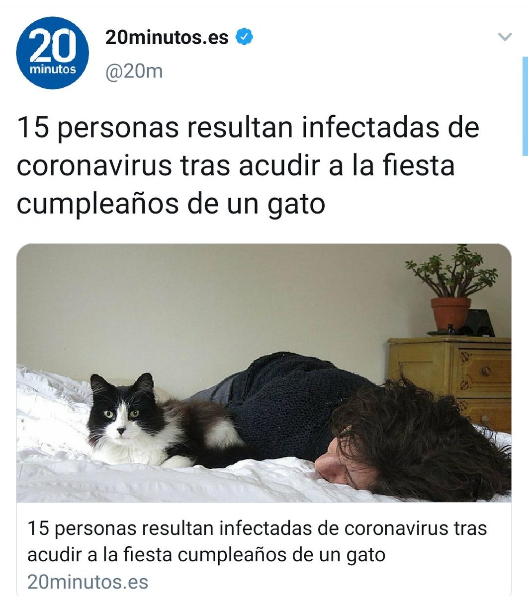 _mario_boss's tweet photo. El gato está bien. https://t.co/ttLqm4ip3R