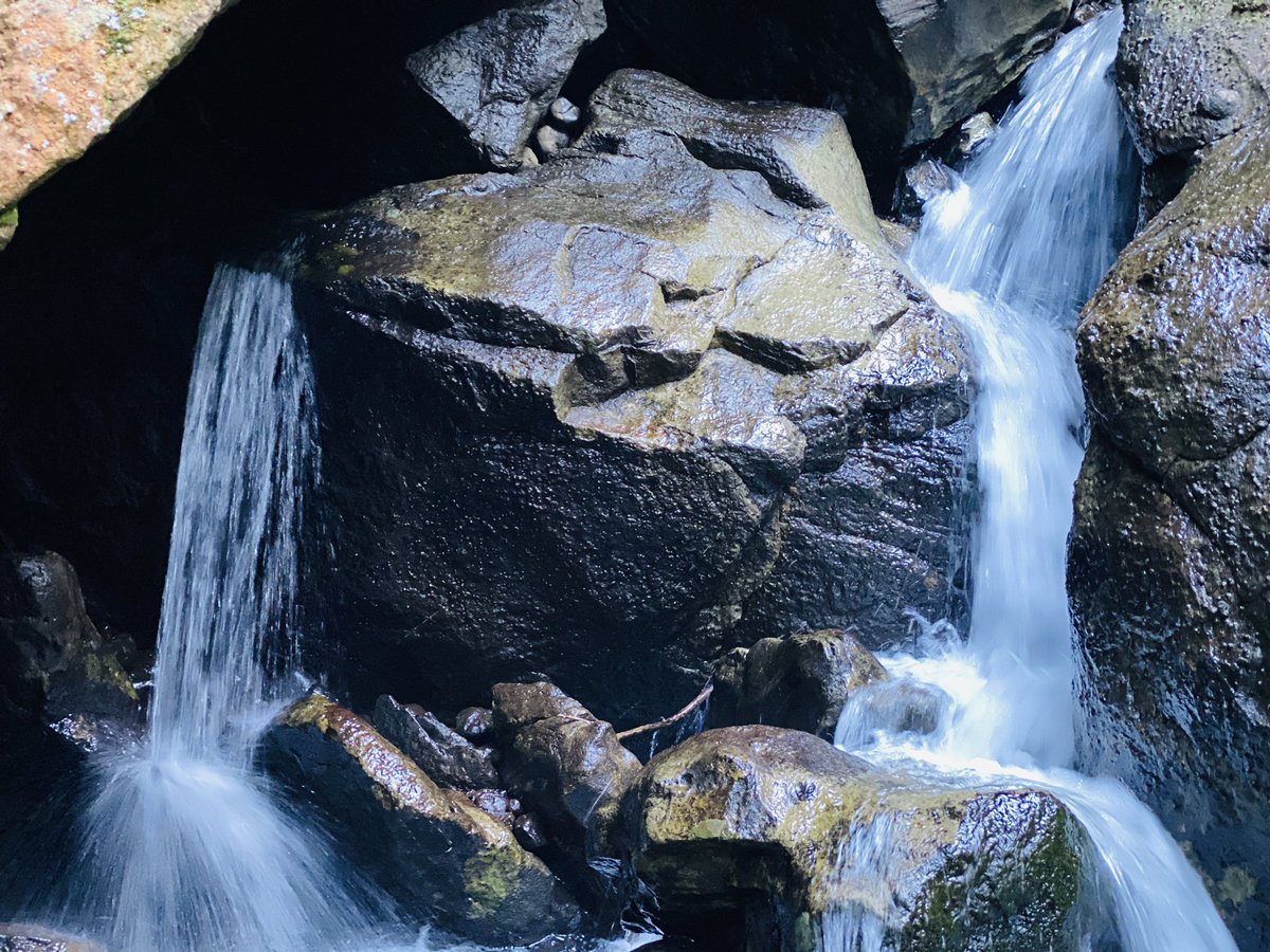 FitfanaticM's tweet photo. Balance 🍃Realign 🍃Lungisa Kabusha🍃
#fitfanatic #fitfanaticnation #unbounded #hikinggirl #livingsimply #livingactively #abundantliving #queenofthedrakensberg https://t.co/Ofj8tnkROe