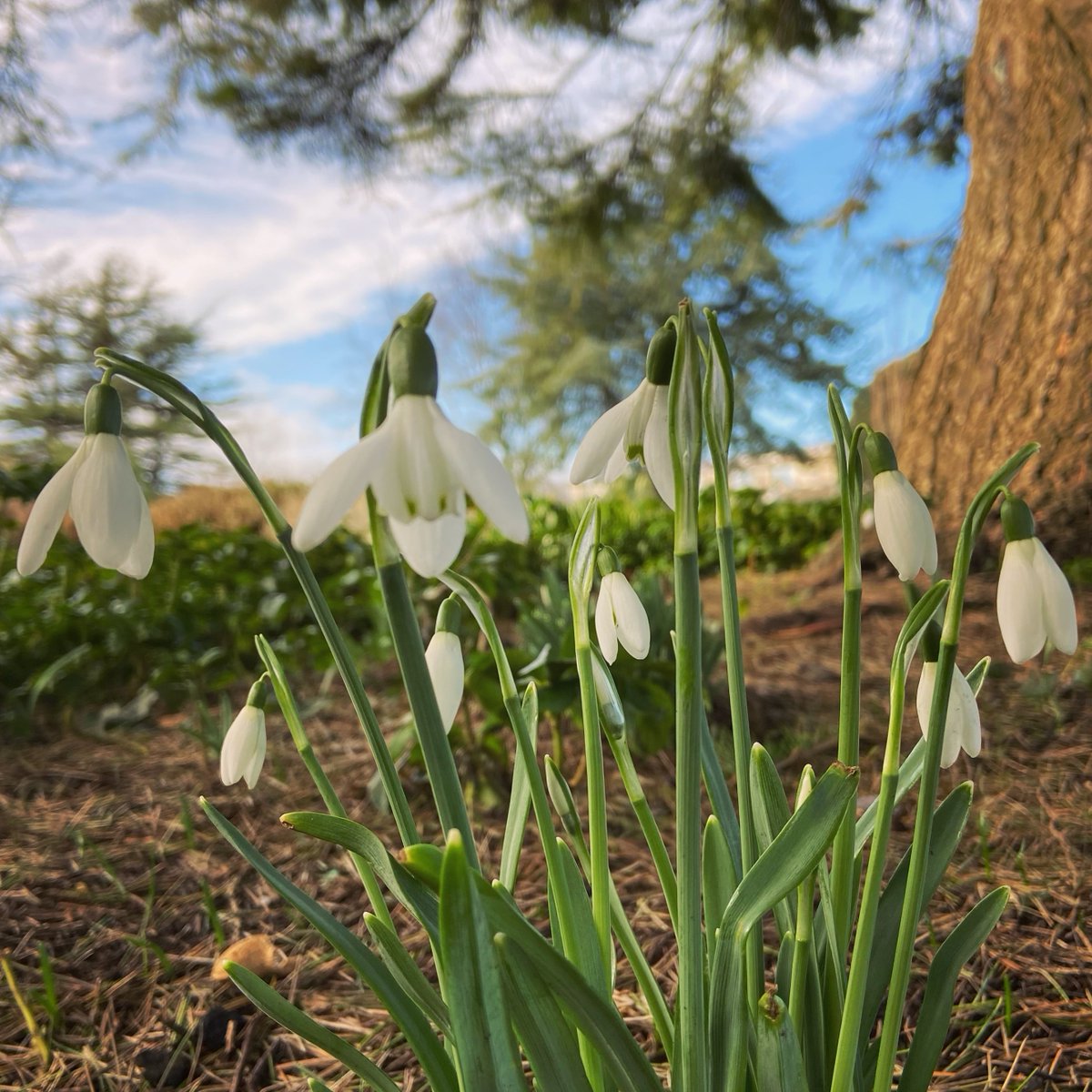 JoioAbertawe's tweet photo. Yn ystod y cyfnod hwn, mae llawer ohonom yn treulio mwy o amser yn y byd naturiol nag erioed oโr blaen. Beth ydych chi wediโi weld ar eich troeon wrth i chi #ArosYnLleol neu yn eich gardd #Gartref? https://t.co/ot16FFF4Hu