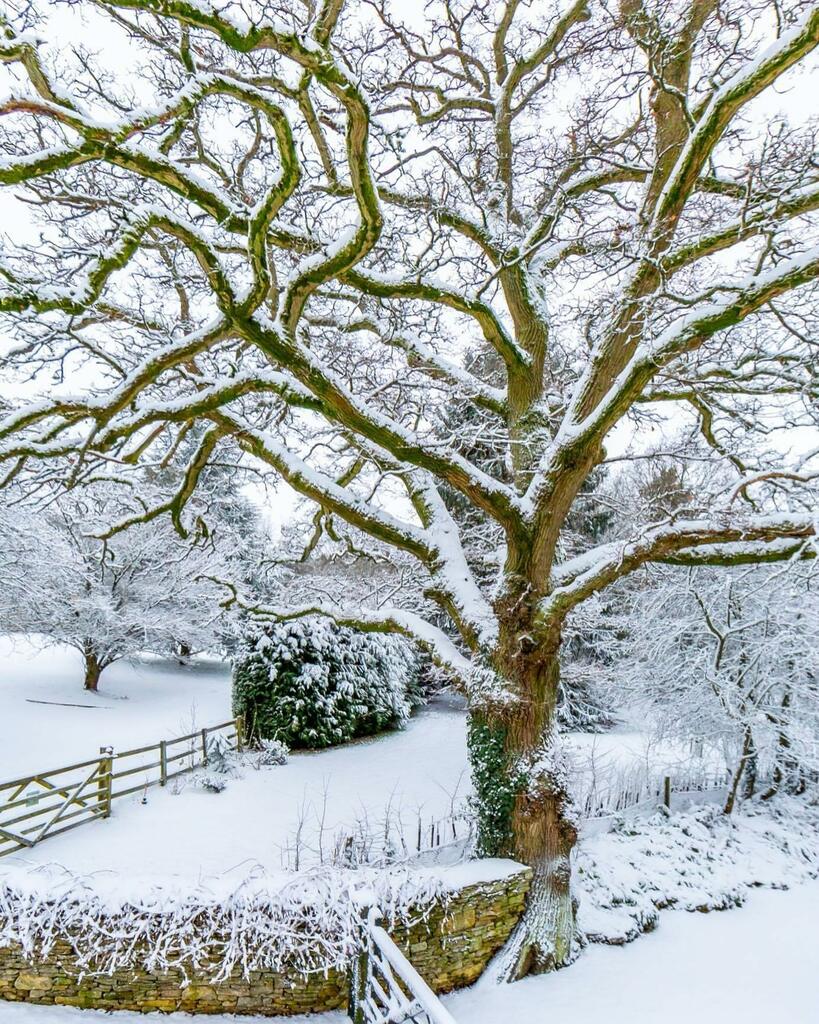 townphoto's tweet photo. Another Crisp Cotswold Morning https://t.co/53VefjoaUq https://t.co/2oxbc2iPun