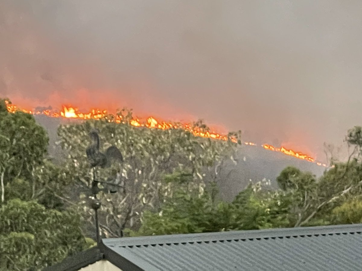 Keziah Sullivan (@9keziahsullivan) on Twitter photo It’s hard to see from these pictures but flames are metres high in the Scott Creek Conservation park. It’s incredibly difficult for fire fighters to reach these areas but they are doing the best they can in these challenging conditions. <a href="/9NewsAdel/">9News Adelaide</a> It’s hard to see from these pictures but flames are metres high in the Scott Creek Conservation park. It’s incredibly difficult for fire fighters to reach these areas but they are doing the best they can in these challenging conditions. <a href="/9NewsAdel/">9News Adelaide</a>