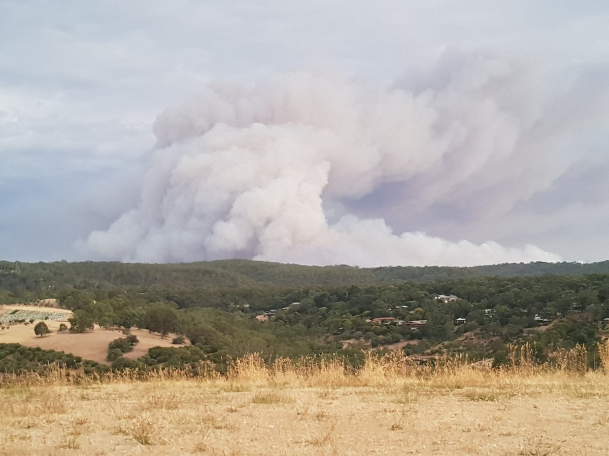 Lorraine Irwin (Lorrain38192716) Twitter