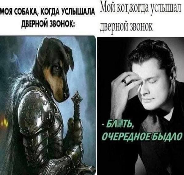 DibHumor's tweet photo. https://t.co/5UauSW5CSF
