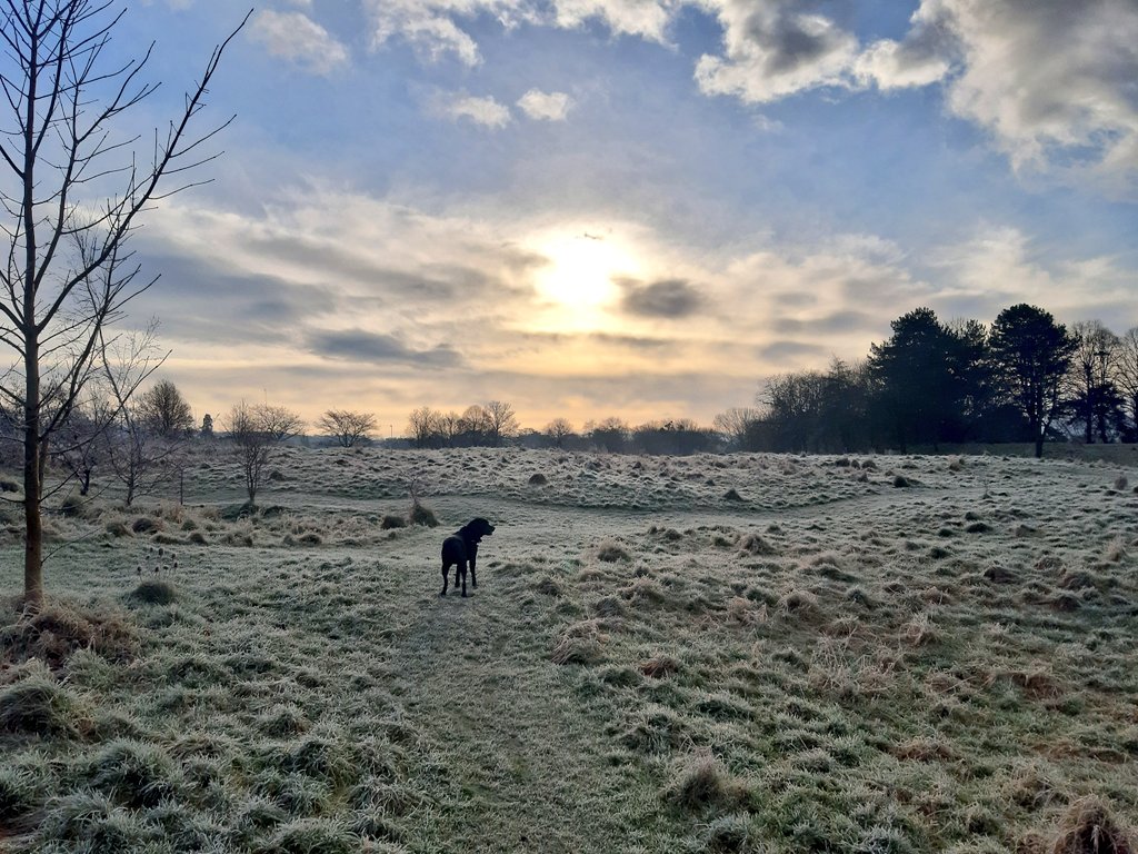 NinjaBadger7's tweet photo. The last couple of morning walks have been a bit darn beautiful https://t.co/ObS8mDptBb