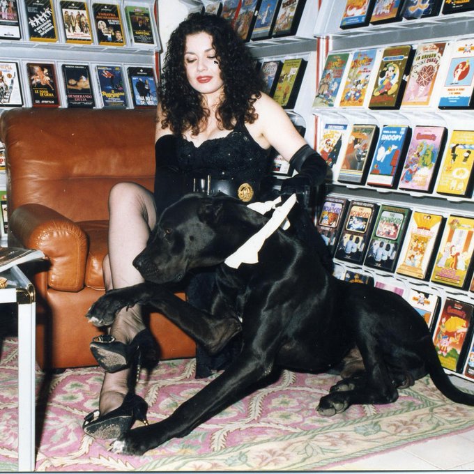 1994 presenza in videoteca insieme al mio alano. Che bei ricordi . I cani sono meravigliosi. Non saprei<a href="/tag/newprofilepic"class="tags"><span>#newprofilepic</span></a>