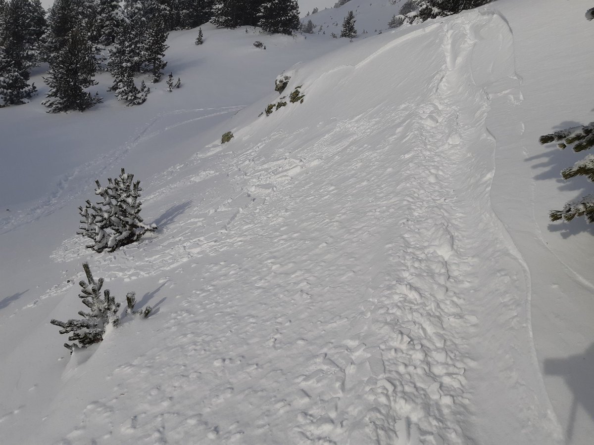 Gerard Puig_Andorra🇦🇩 tweet media