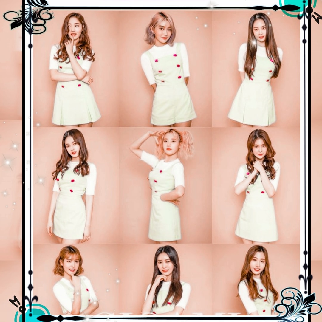 ArmerryD's tweet photo. @mld_official_
 We need next comeback with ot9 😌💅🏻

#wewantdaisy
#momolandot9 
#momolandindia https://t.co/ykzFOr2CSu