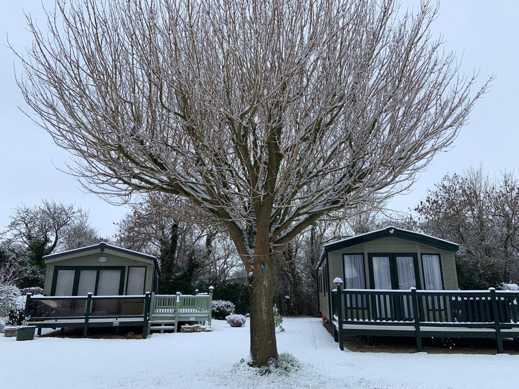 Snowy Sunday #snow #snowday #sundayvibes