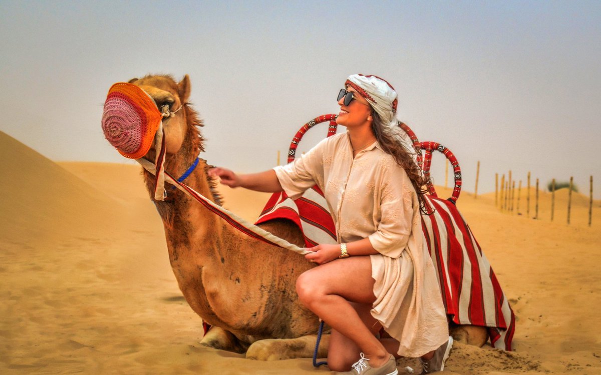 leenatour's tweet photo. Evening Desert Safari packages with Live BBQ Dinner Buffet + Live Shows and more Activities. 
Now from AED 35 Only | ✆ 055-646-6604 
🌐 https://t.co/Fmw97hAvFb
🎫 Get Your Vouchers Here ➡️ https://t.co/HUipgQaTB6

#Dubai #UAE #desertsafari #discount https://t.co/XIHIb66O6L