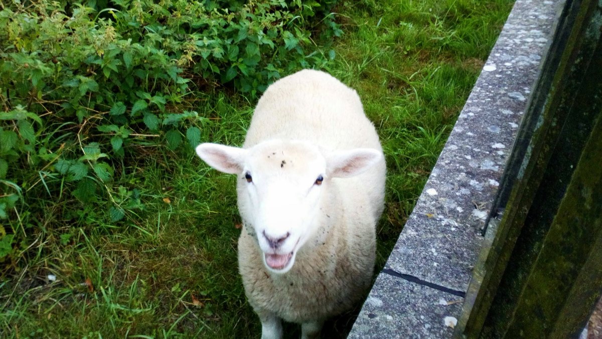 Will related you say ? #TheArchers