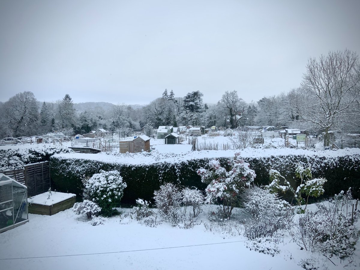 littlenose tweet media