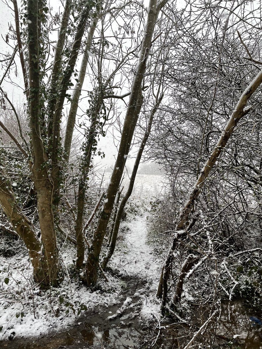 natashaayush's tweet photo. @AJMajid @SkyNewsWeather @SkyNewsNaz @SkyNews Woke up to snow in Ruislip. Lovely surprise through a rather tough lockdown!! https://t.co/2OLLTODCep