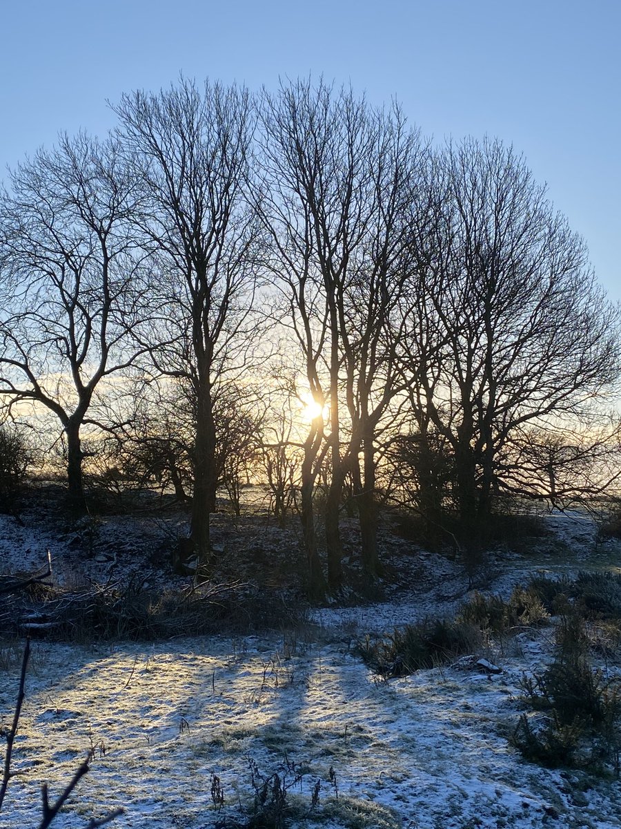 cathyjamieson's tweet photo. Early morning Haugh Road #Mauchline #walkdownthelockdown https://t.co/En6lxlfojK