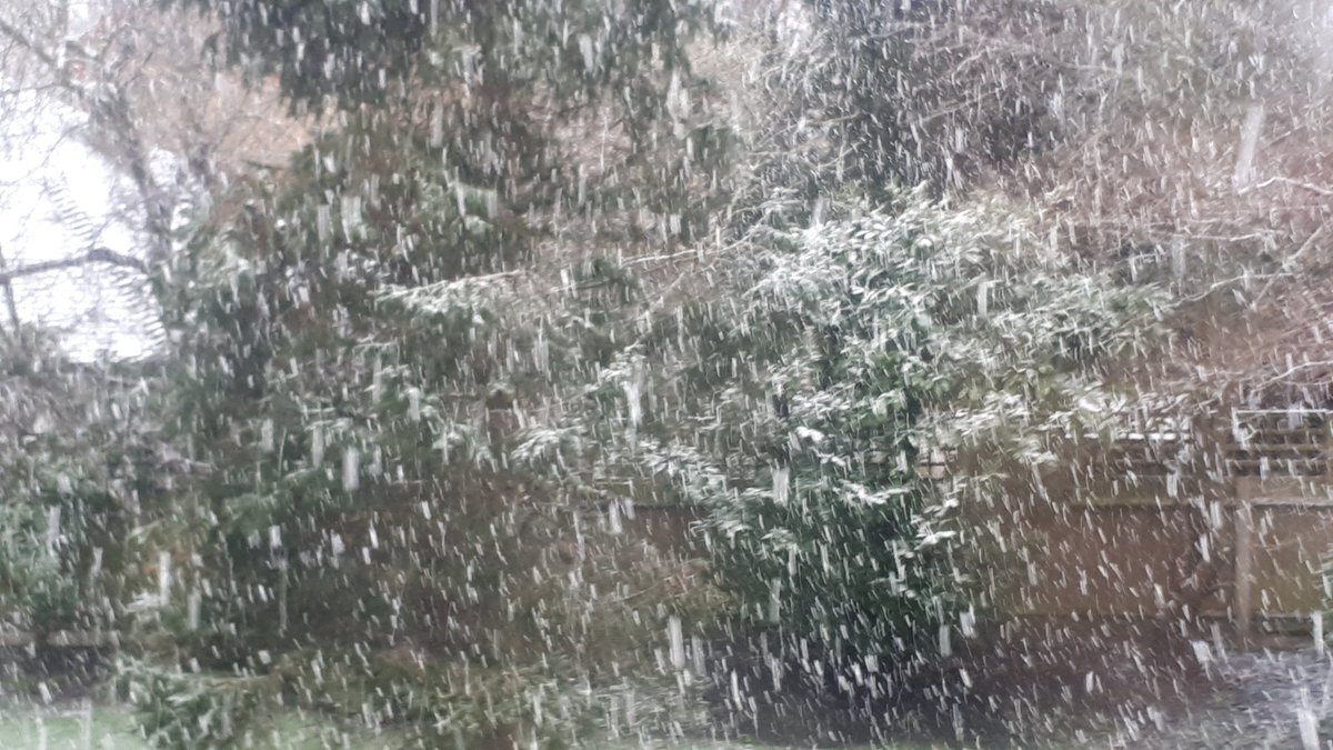 Melanie Sturtevant tweet media