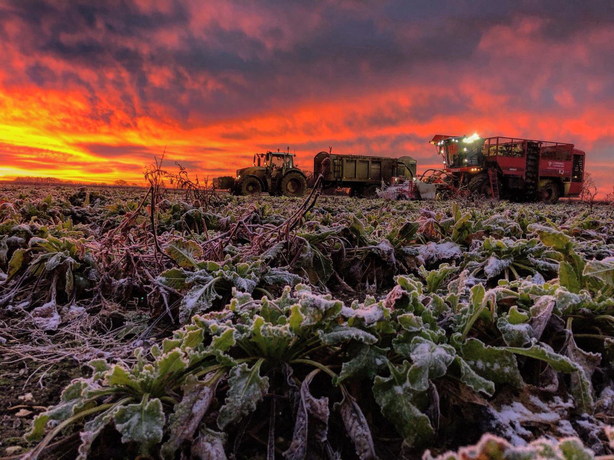Paul Cornwell (@paulgcornwell) on Twitter photo What’s a start to the day #earlybirds on the frost, photo credit to <a href="/MaddeverHenry/">Henry Maddever</a> no.1 trailer jockey 🤔 What’s a start to the day #earlybirds on the frost, photo credit to <a href="/MaddeverHenry/">Henry Maddever</a> no.1 trailer jockey 🤔