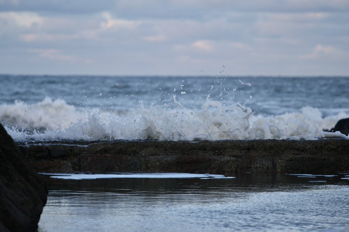 in on or by the sea tweet media