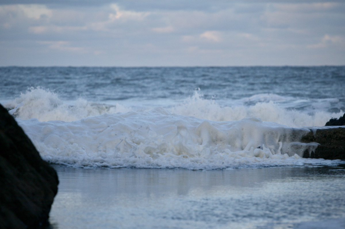 in on or by the sea tweet media