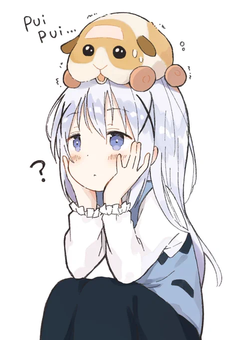 チノちゃんとモルカー 