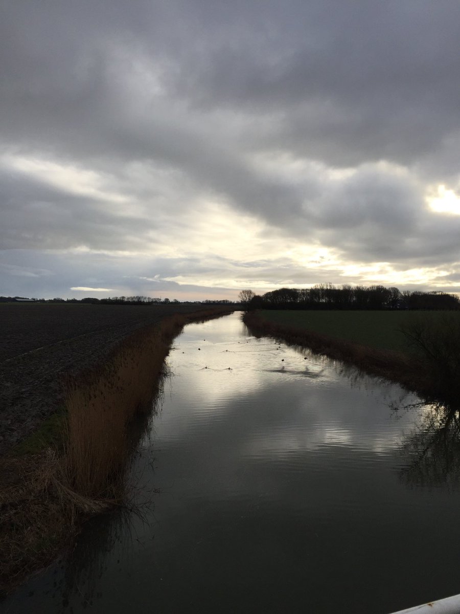 FredRaangs's tweet photo. Wandelrondje zondagmorgen 24 januari 2021 #Kloosterburen #Molenrij #Wehe den Hoorn https://t.co/zUphKdqwfO