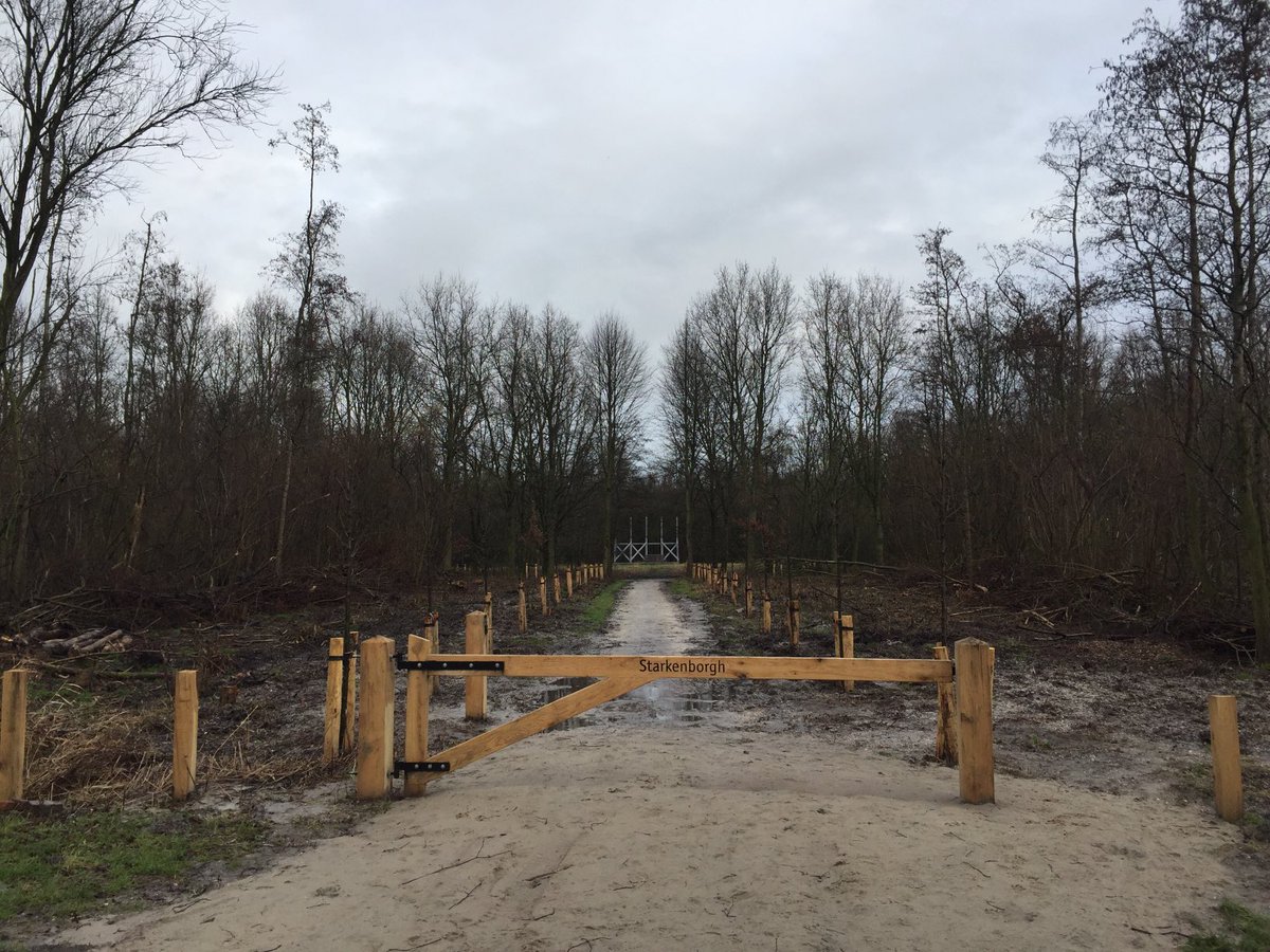 FredRaangs's tweet photo. Wandelrondje zondagmorgen 24 januari 2021 #Kloosterburen #Molenrij #Wehe den Hoorn https://t.co/zUphKdqwfO
