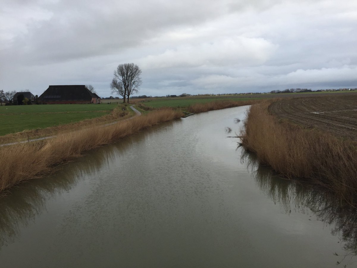 FredRaangs's tweet photo. Wandelrondje zondagmorgen 24 januari 2021 #Kloosterburen #Molenrij #Wehe den Hoorn https://t.co/zUphKdqwfO