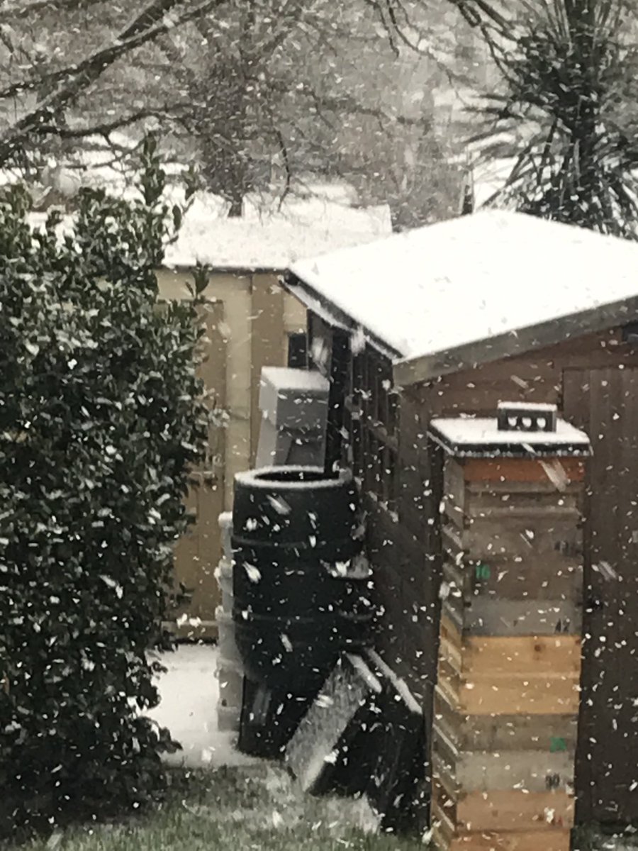 ⁦<a href="/UKSnowUpdates/">UK Snow Updates</a>⁩  muswell hill London N10
