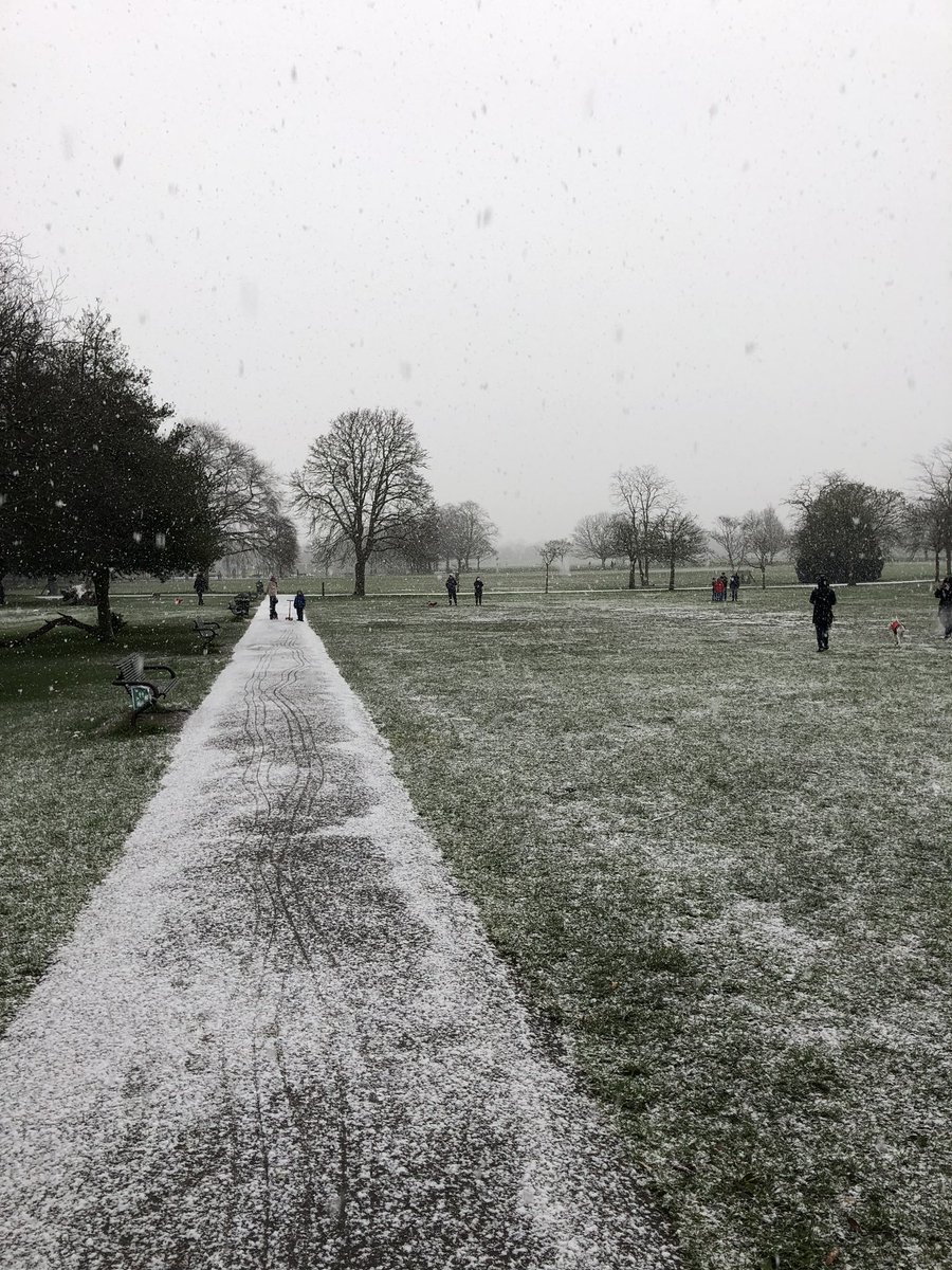 willholtpearson's tweet photo. Snow https://t.co/BTnTbmBgMH