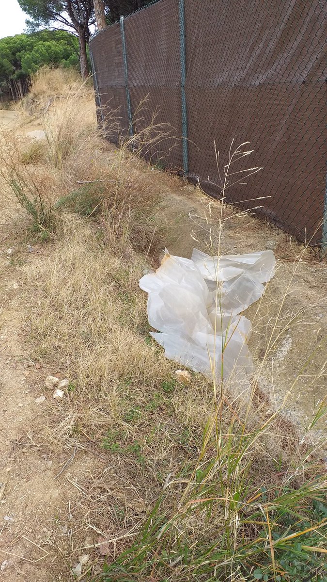 miaguiteres's tweet photo. @Green_walkers @pesca_plastic @Toni_Cruanyes @ajcanetdemar @ajsantpol @ccmaresme @XavierSarda_ @MainatJM #maresme Per molts plàstics que recollim a la platja; alguna institució ha d'aturar els pagesos del #Maresme a reciclar els residus #plasticfree que genera  @AgriculturaGOIB https://t.co/9tg9g1Gx0e