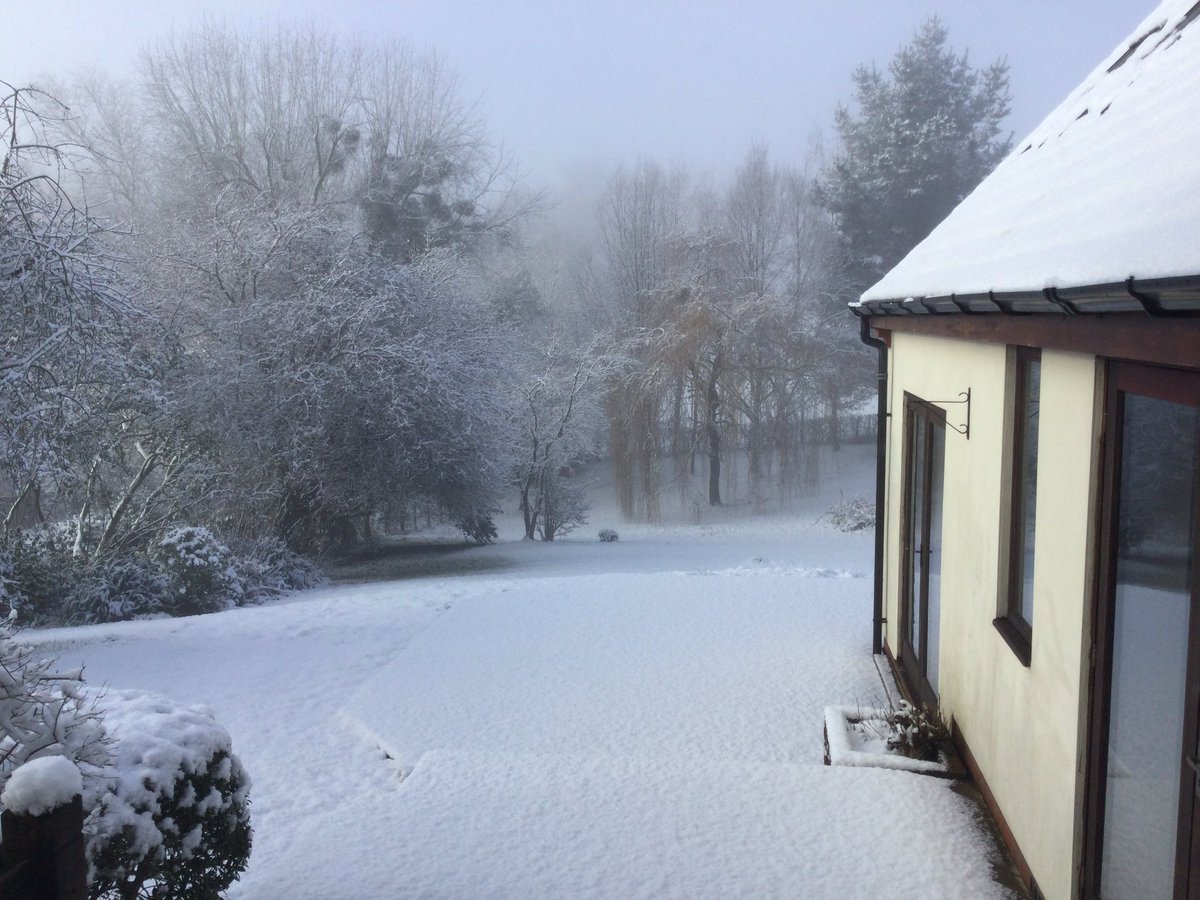GillEdwardes's tweet photo. Snowy morning in Wales. The garden is transformed. https://t.co/5KDkXHmSjq