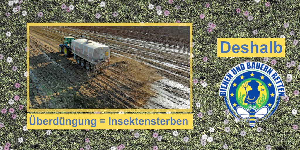 BienenundB's tweet photo. Insektensterben durch Überdüngung
#Thread https://t.co/IvYVQalOt2