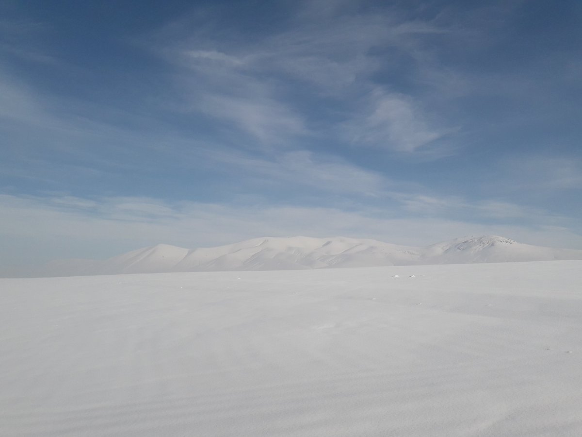 İşte kar işte kuzulkurt😏