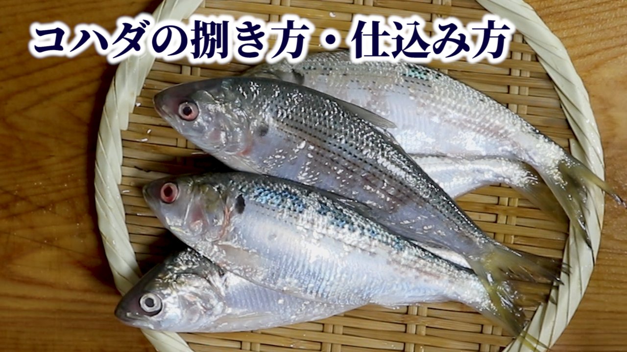 銀座渡利 Twitterren コハダの捌き方 仕込み方 T Co Nplg97qbjm 仕込み おうちごはん Twitter家庭料理部 料理好きな人と繋がりたい 料理教室 お腹ペコリン部 日本料理 魚の捌き方 魚料理 捌き方 コノシロ グルメ 飲食店 飲食業 釣り 釣り好き