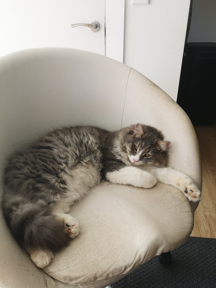 SrNickson tweet media