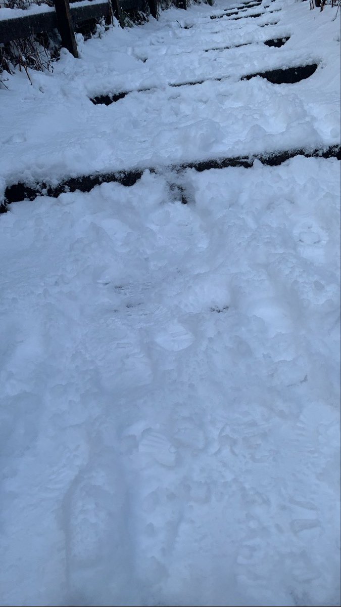 emmabumf01's tweet photo. When Sunday run day turns into snow day Sunday @runningpunks #runthesteps https://t.co/b4kaUfnaDH