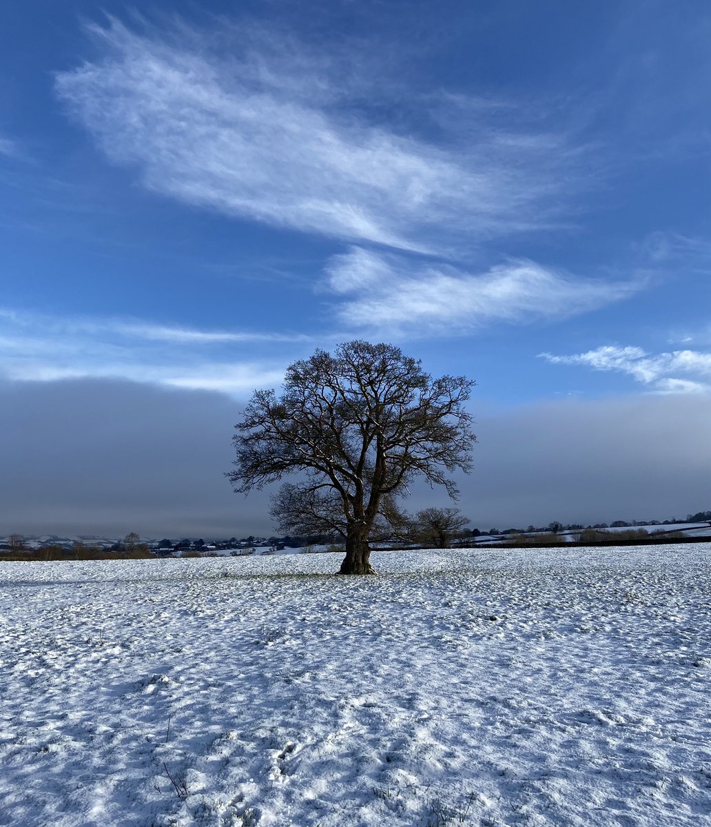 c_hopwood's tweet photo. Stunning morning at Priston #bathsnow #snowscene #priston https://t.co/nefYUFBG1v