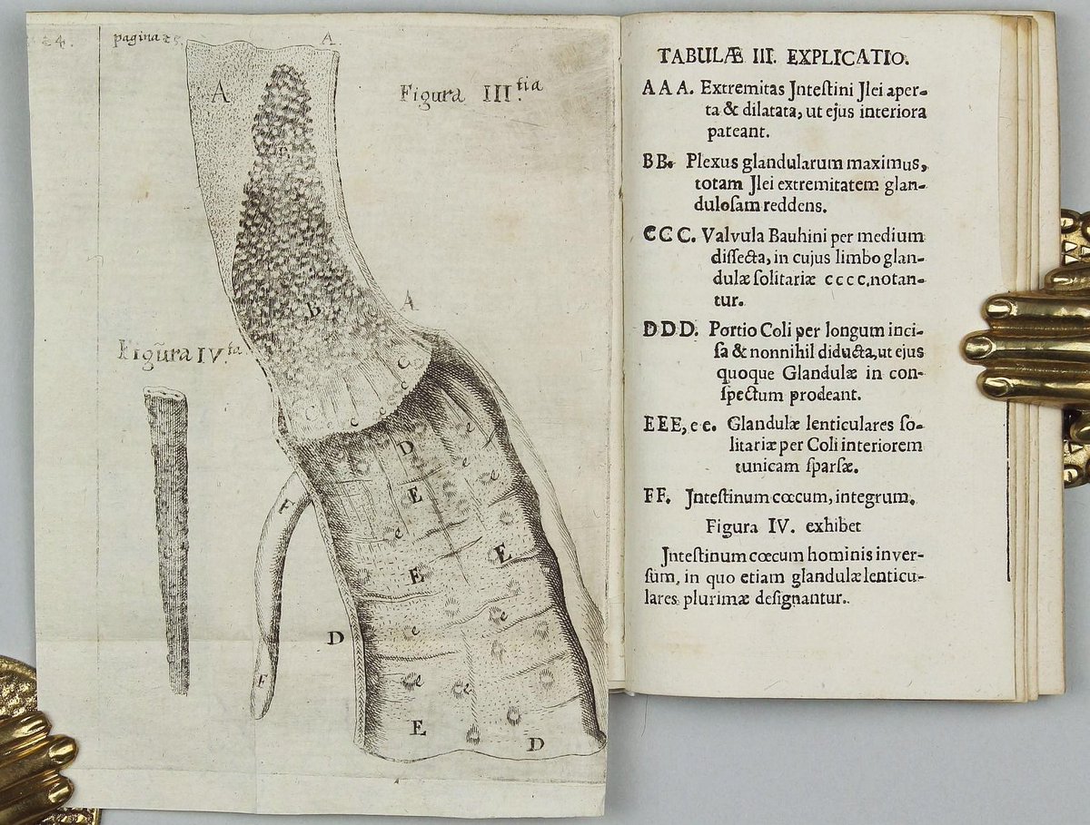 Johann Conrad Peyer, who worked alongside Johann Conrad Brunner, described these patches. Published in this book, where he also, curiously, describes the chicken gizzard.