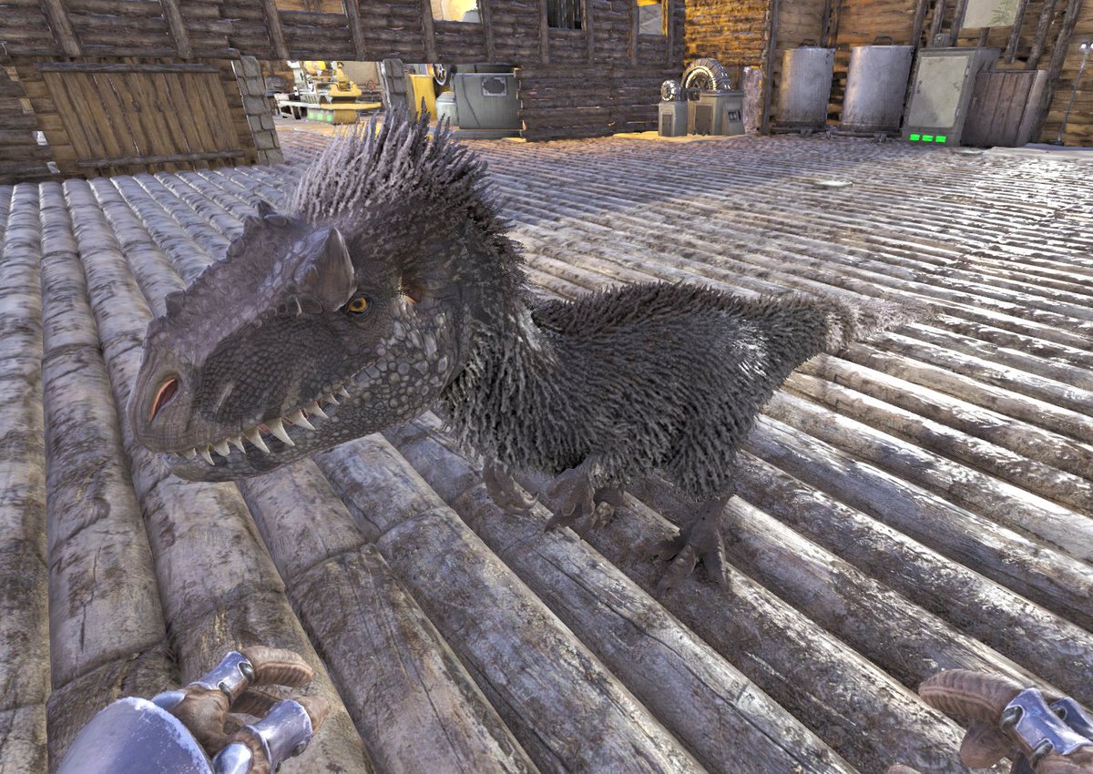 魔獣 だんちむ Danchimu1031 Twitter